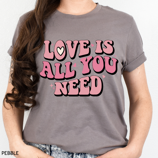 Valentines - Love is All You Need - Unisex Adult Tee